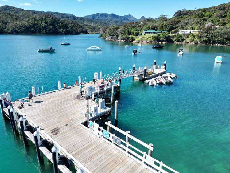 735 Whangaparapara Road Great Barrier Island_12