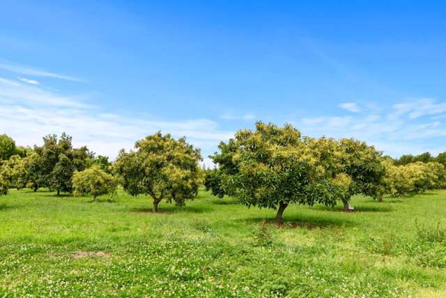 718 Old Coach Road Pongakawa_3