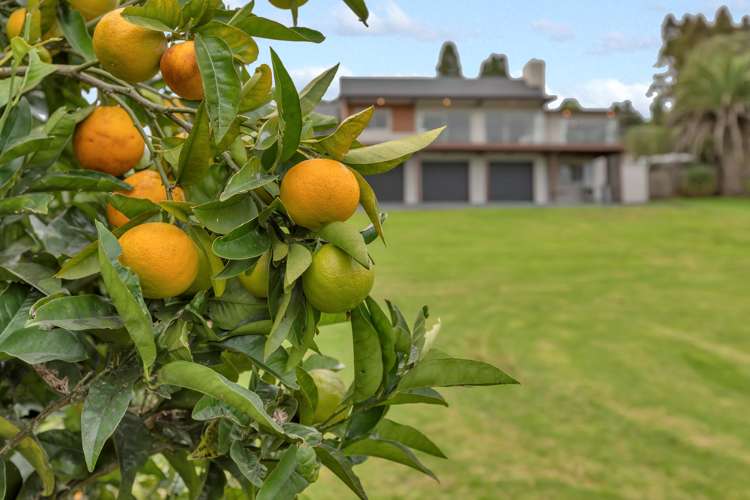 99 Millington Road Maunu_11