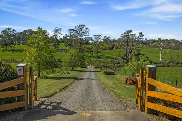 328 Horseshoe Bush Road Dairy Flat_25