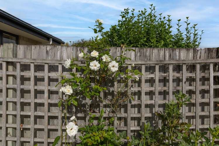 32 Blunt Road Te Kauwhata_30