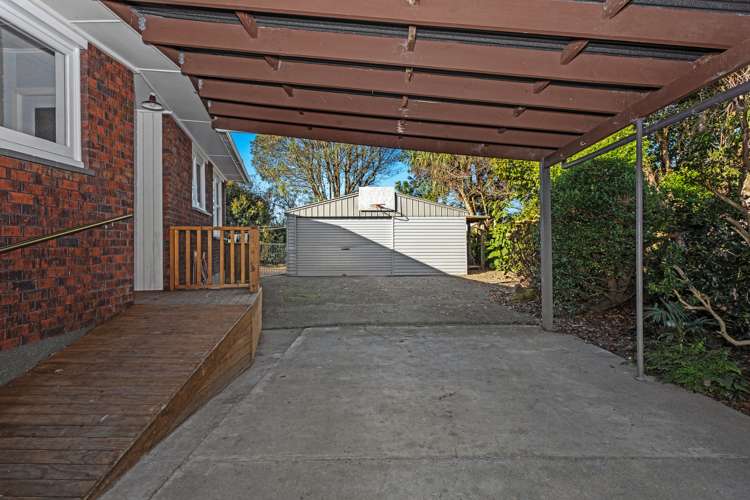 81 College Road Edgecumbe_23