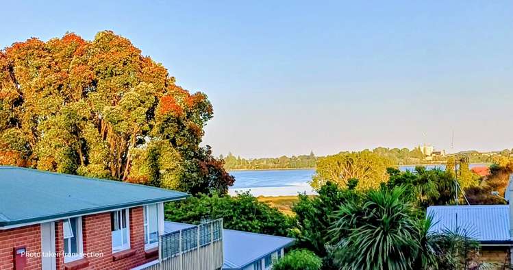 163A Darraghs Road Brookfield_7