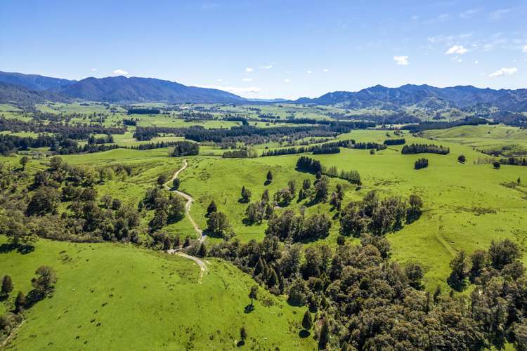 21 Carson Road Ongaonga_11