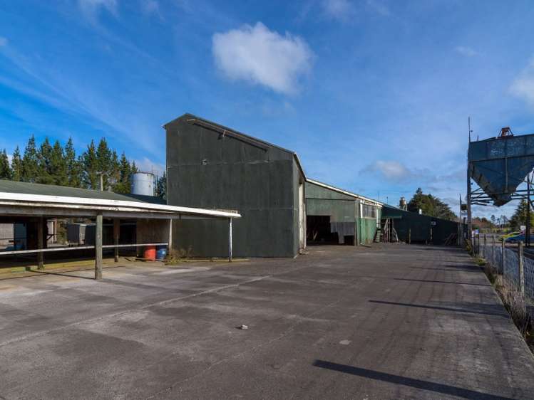 50 Mamaku Street Mamaku_22