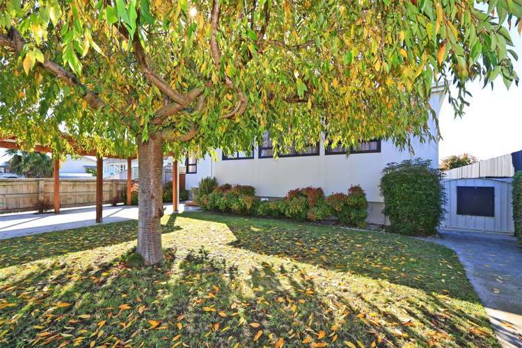 810 Victoria Street Parkvale_13