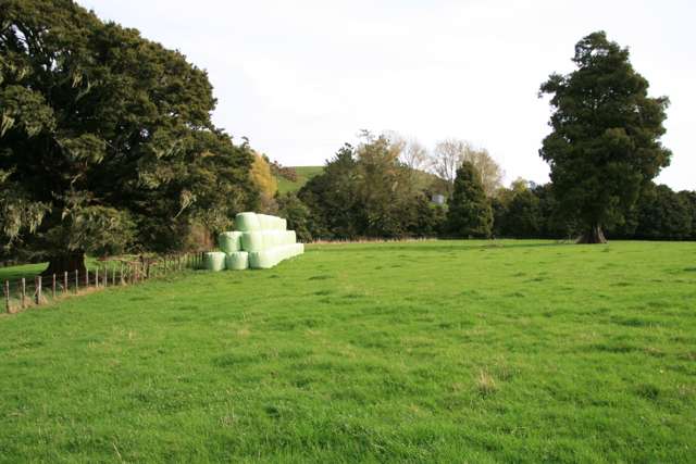 FORESTRY INVESTMENT / GRAZING OPPORTUNITY.