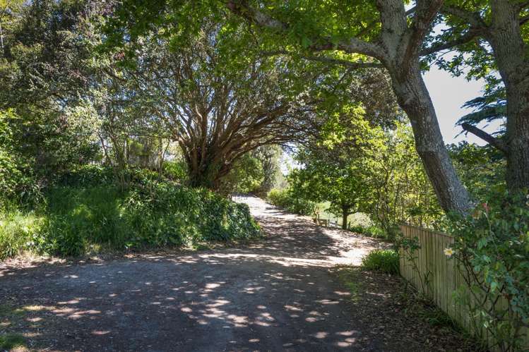 11a Cullinane Avenue Feilding_38