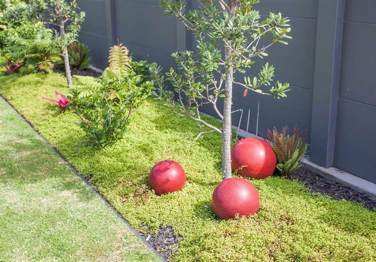 27 Aquila Drive Whitianga_23