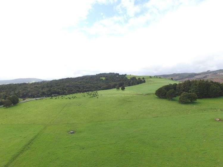 684 Trounson Park Road Dargaville Surrounds_11