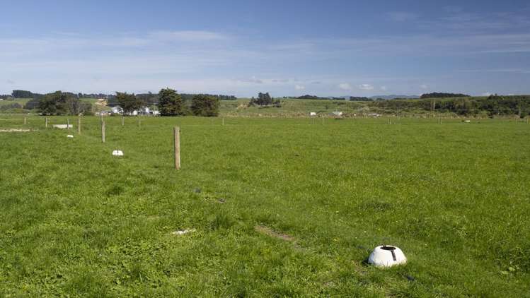 2556 State Highway 53 Martinborough_6