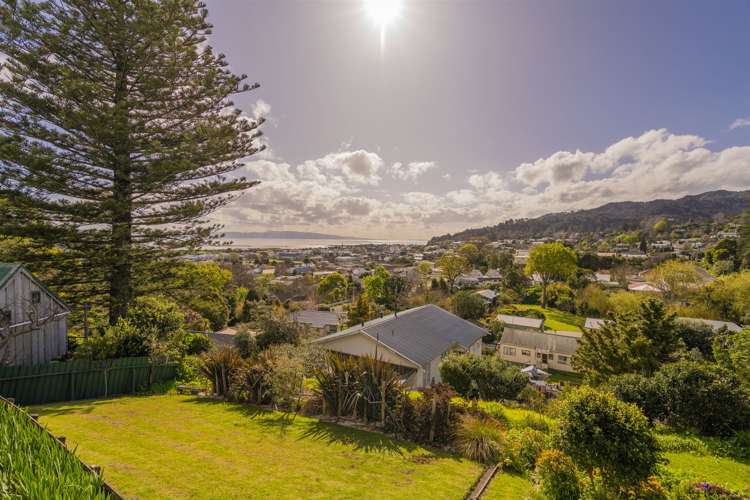 707 Mount Pleasant Road Thames_29