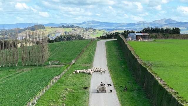 559 Waipahi Highway Mcnab_1