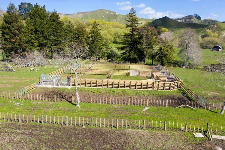 783 Glenroy Road Whangara_24