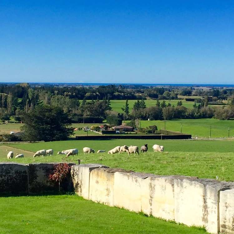 275 Mill Road Waimate_2