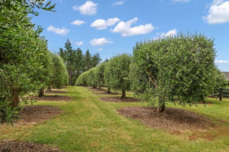 292 Vinegar Hill Road Kauri_31