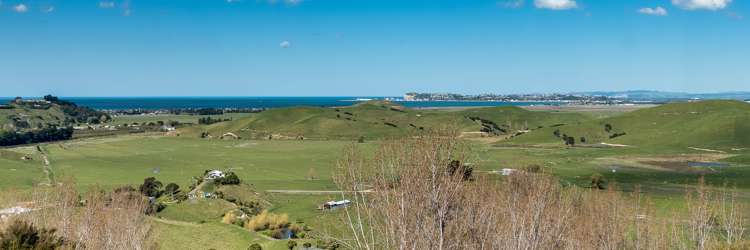 59 Avery Road Eskdale_16