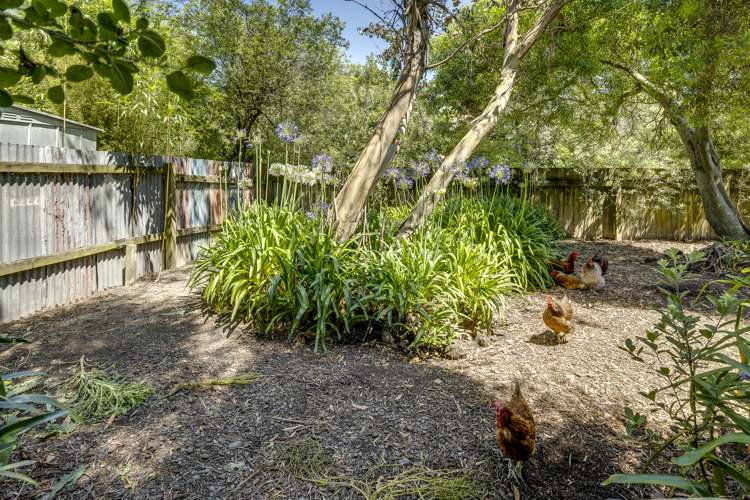 186 Whirinaki Road Eskdale_27