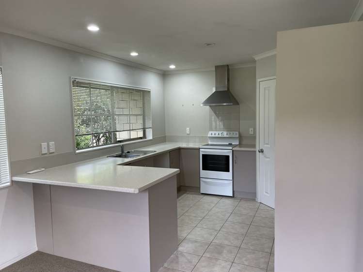 23b Donald Street Regent_18