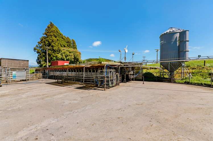 298 King Road Inglewood_7