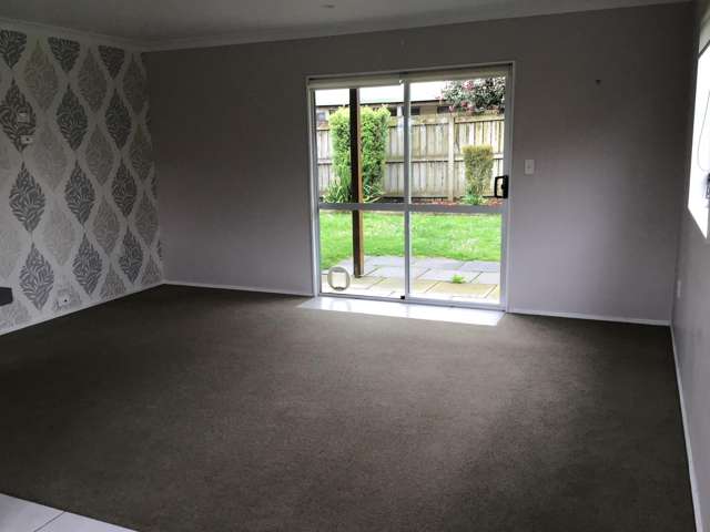 57A Allen Street Morrinsville_3