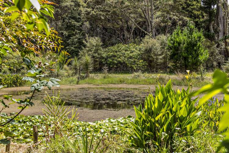 1021 Woodcocks Road Kaipara Flats_18