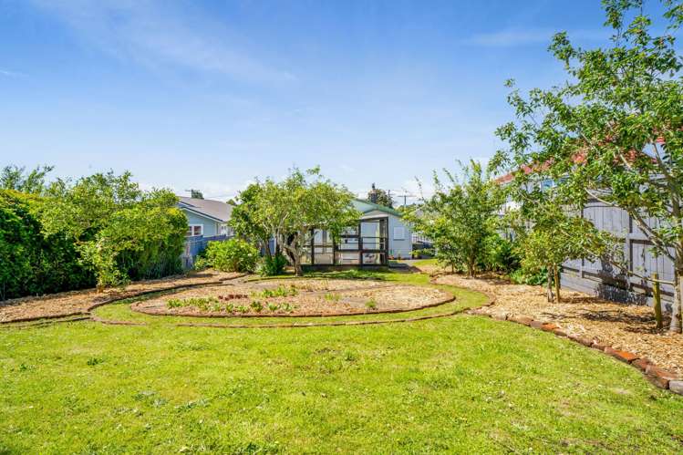 20 Walsh Road Westown_28