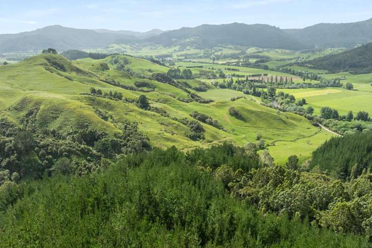 112 Hikuai School Road, Hikuai Tairua_26