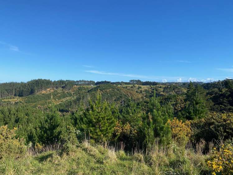 Lot 6 Tram Gully Road Awhitu_6