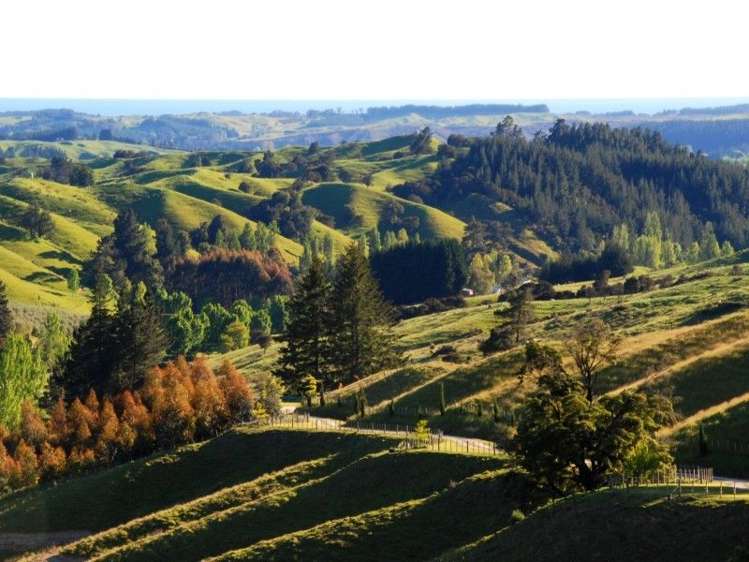 680 Neudorf Road Upper Moutere_21