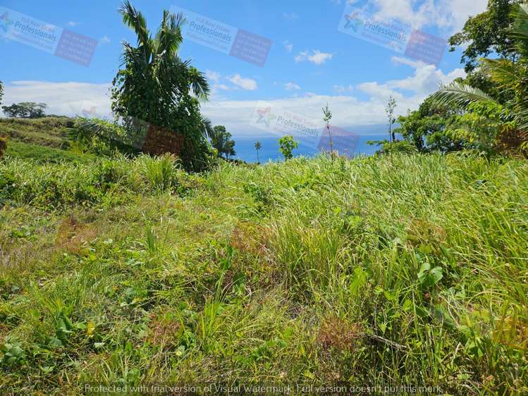 Address withheld Savusavu_12