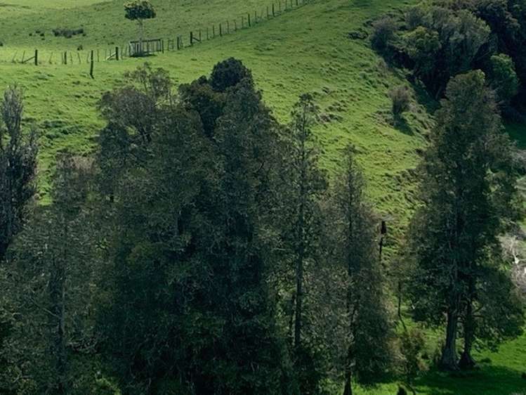 462 Otuiti Road Pukekawa_11