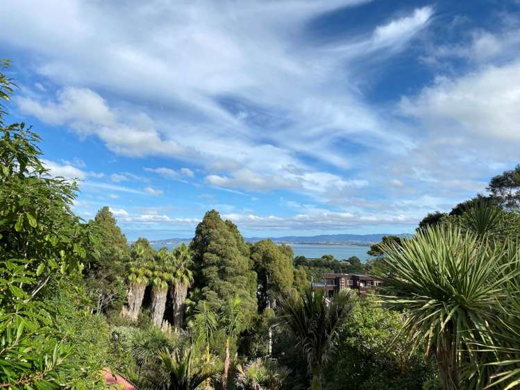 96 Hadfield Street Beach Haven_1