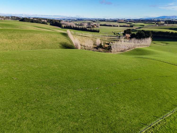 348 Koi Road Waikoikoi_16