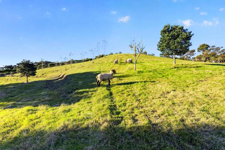 115 Sonja Drive Hunua_22