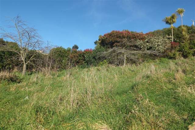 34 Brinkburn Street Oamaru_1