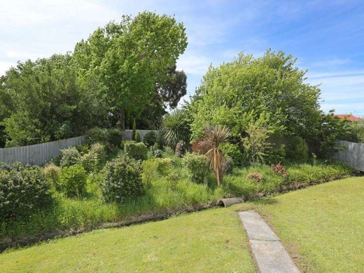 65 Phillips Street Sanson_17