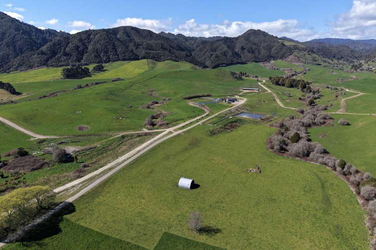 283 Minginui Road Galatea_22