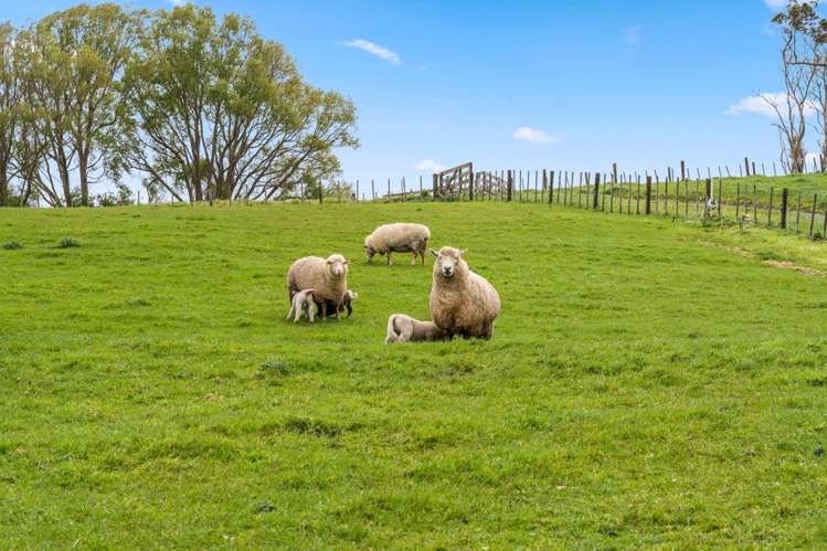 27 Kaitara Lane Kaiwaka_39