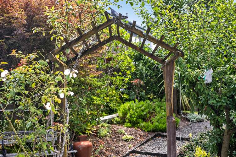 22 Widmore Drive Massey_28