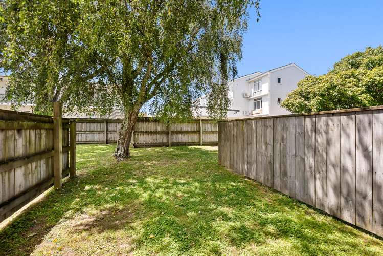 11g Britannia Street Petone_8