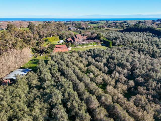 29 Westmere Road Westmere_4