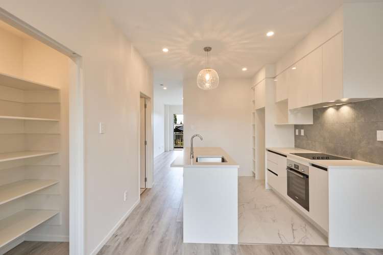 3 Pungarehu Loop Mount Wellington_8