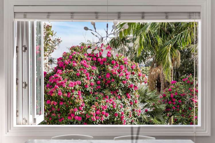 4 Ireland Street Freemans Bay_24