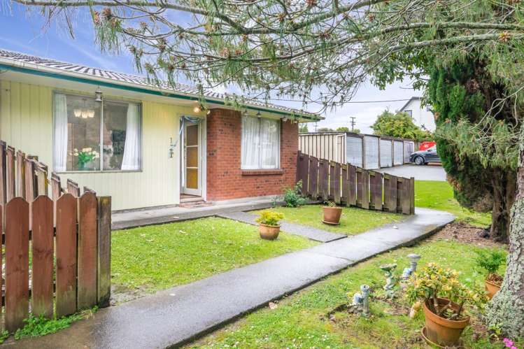 1/10 Miro Street New Lynn_0