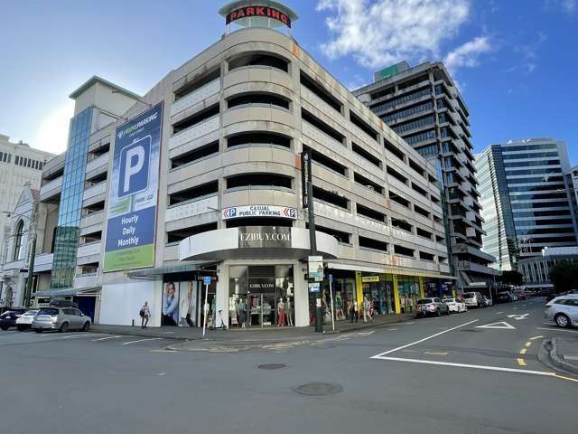 2/9 Stout Street Wellington Central_2