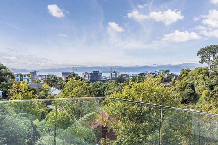 10 Kilmister Avenue Thorndon_8