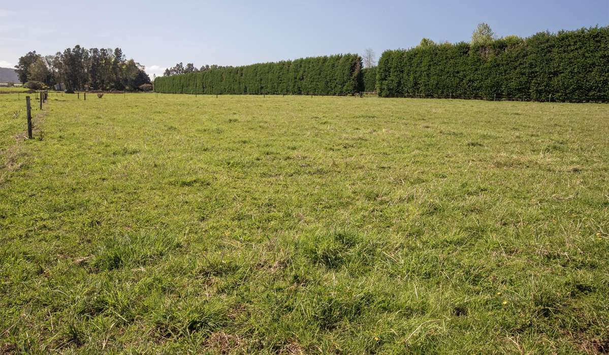 6926B Mangakahia Road_2