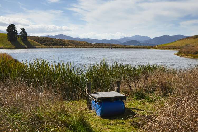 254 Delta Lake Heights Renwick_13