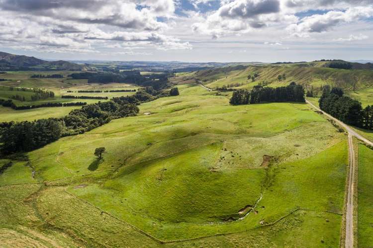 1020 Mangleton Road Kereru_3